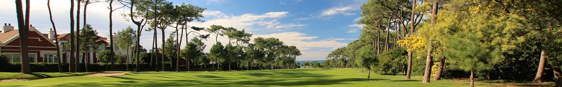 cabecera-14golf