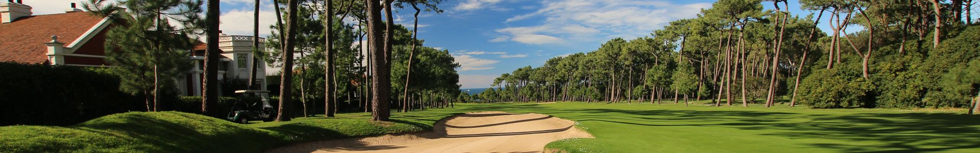cabecera-15golf
